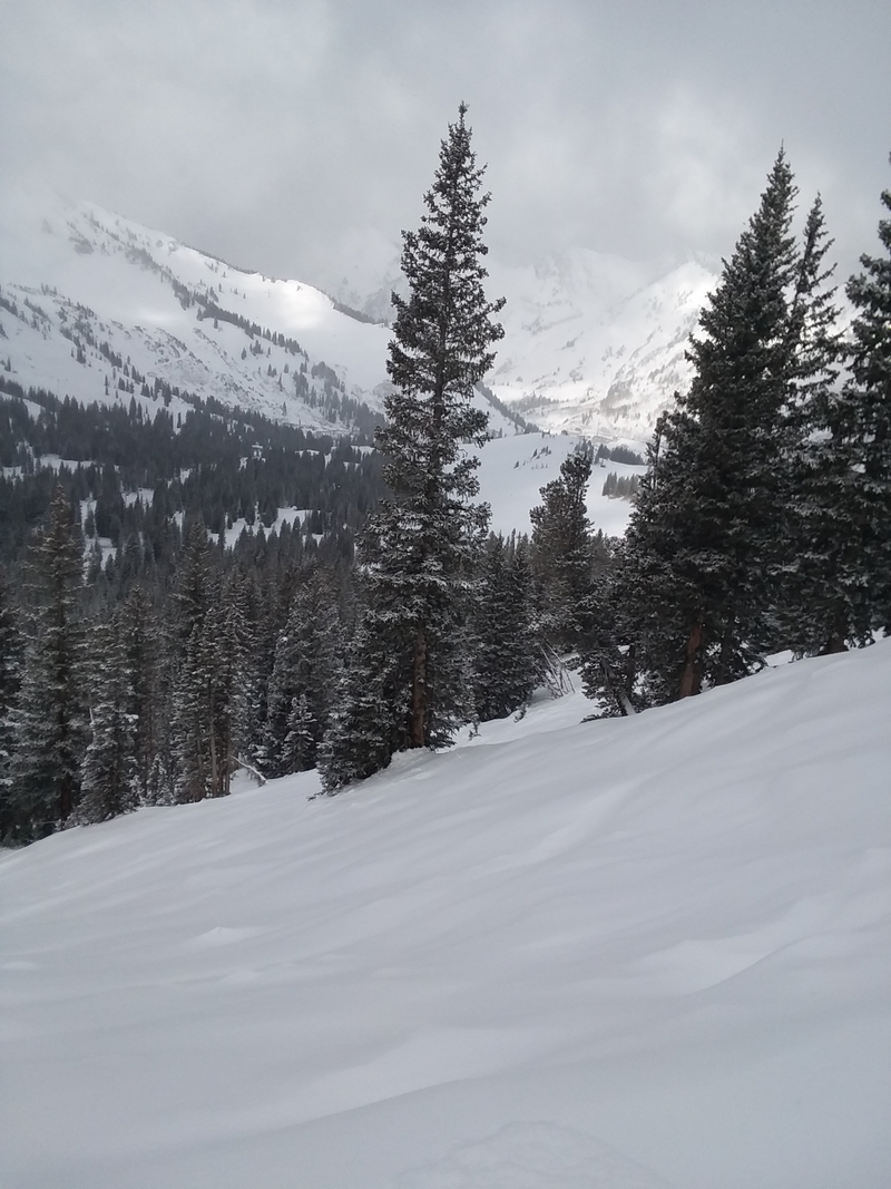Illustration for article titled Alta is a powder skiing paradise